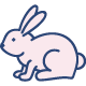 Cruelty Free Icon