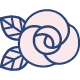 Rose Oil