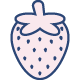 Strawberry Fruit Extract