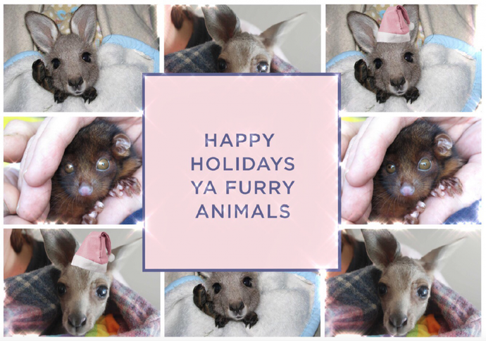 HAPPY HOLIDAYS YA FURRY ANIMALS!